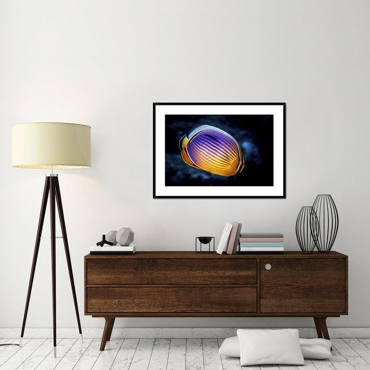 "Butterflyfish" Framed Digital Print by Barathieu Gabriel, 44x32"
