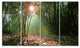 Amazing Green Forest at Sunset, Landscape Canvas Art Print, 48"x28", 4 Panels