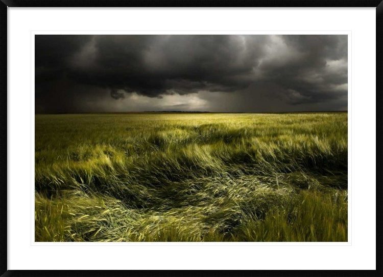 "Summer Weather" Framed Digital Print by Franz Schumacher, 44x32"