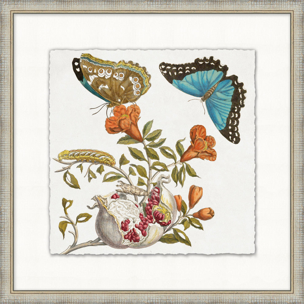 Garden Butterflies 4, Giclee Reproduction Artwork