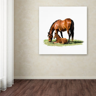 The Macneil Studio 'Horse With Foal' Canvas Art, 24"x24"