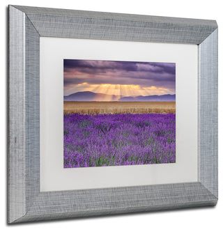 Blanchette Photography 'Lavender Sunbeams', Silver Frame, White Matte, 14"x11"