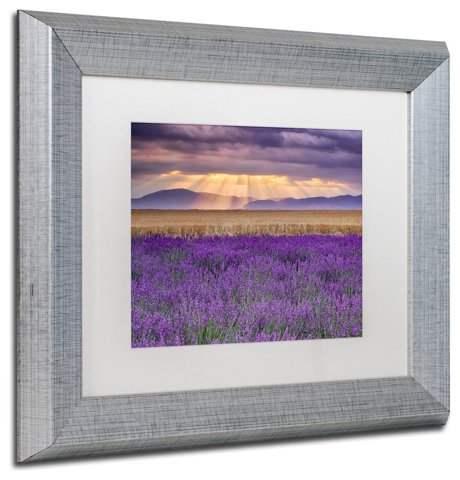 Blanchette Photography 'Lavender Sunbeams', Silver Frame, White Matte, 14"x11"