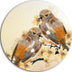 Bird Couple On A Branch, Animal Disc Metal Wall Art, 23"