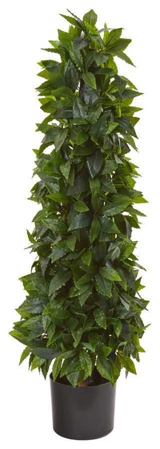Full product shot on a white background, showing the entire cone topiary with no overlays.