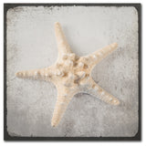 LightBoxJournal 'Vintage Nautical Set' Canvas Art, 35" x 35"