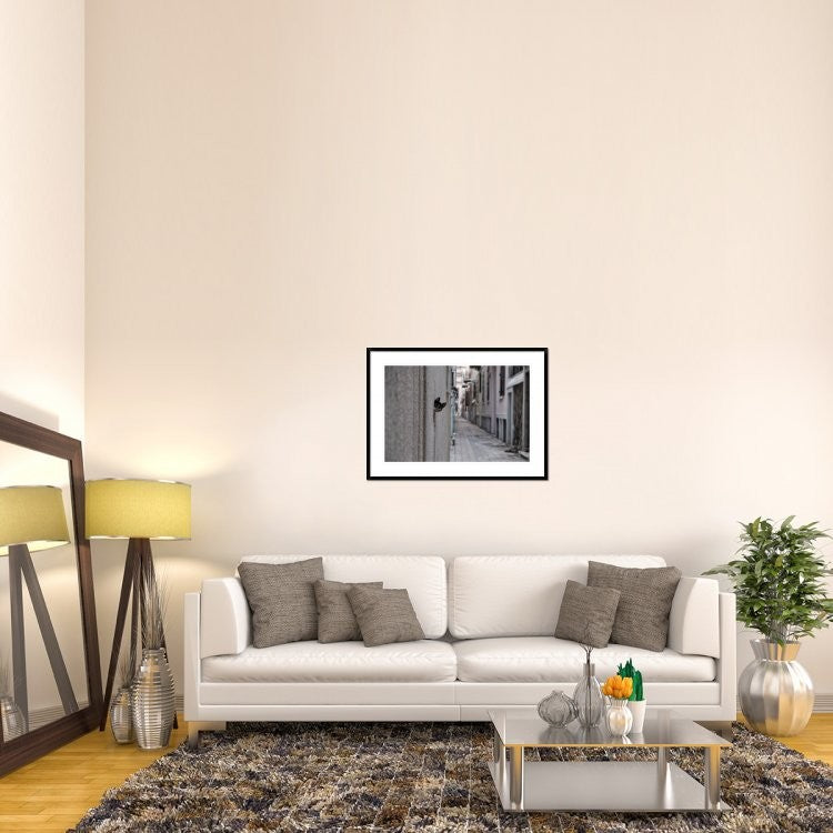 "Dantel Street Cat" Framed Digital Print by Ali Ayer, 38"x28"
