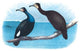 Violet Green Cormorant and Florida Cormorant - Gallery Wrapped Canvas Art