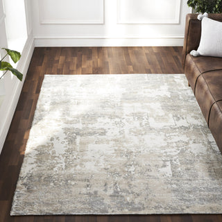 Cusano 7'10" X 10'2" Ft Woven Printed Rug
