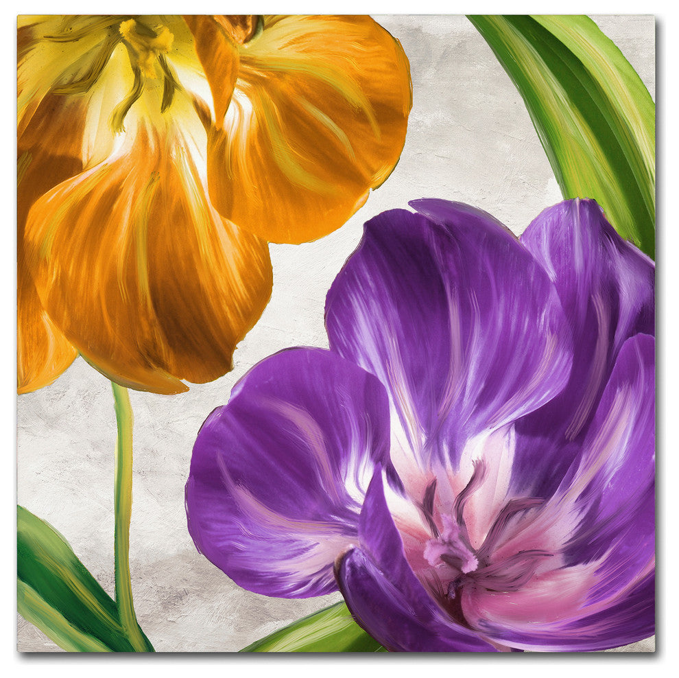 Color Bakery 'Open Arms II' Canvas Art, 35"x35"