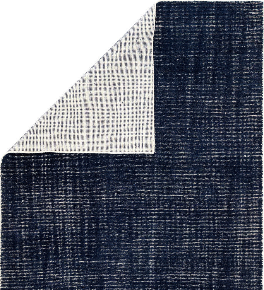 Jaipur Living Limon I-O Solid Blue Rug, 5''x8''