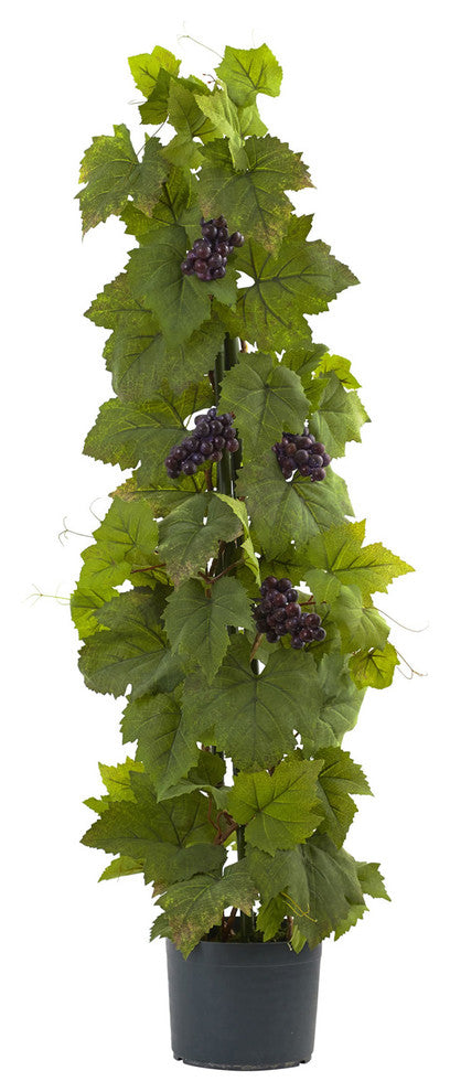 40' Grape Leaf Deluxe Climbing Plant