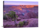 "Colorado River Flowing Through Dead Horse Point State Park, Utah" Artwork