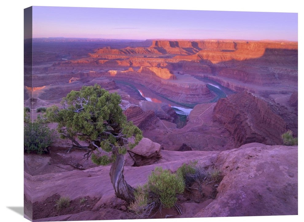 "Colorado River Flowing Through Dead Horse Point State Park, Utah" Artwork