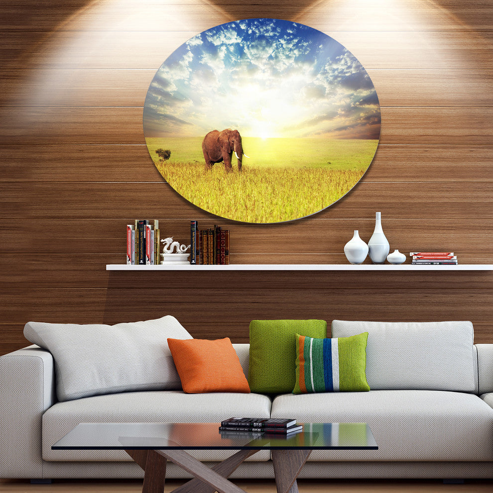 Savannah Elephant In Grassland, African Large Disc Metal Wall Art, 23"