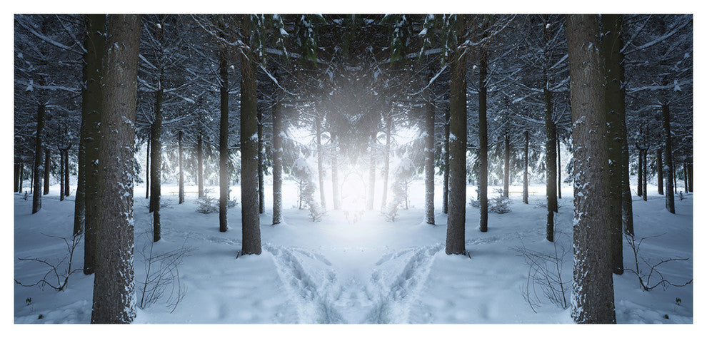 Winter Forest with Dark Woods, Large landscape Canvas Art Print, 60"x28"