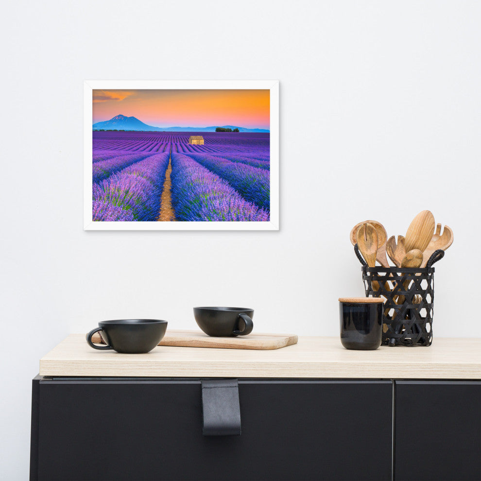 Blooming Lavender Field and Sunset Floral Landscape Framed Photo Wall Art Prints, White, 12" X 16"