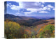 "Deciduous Forest, Blue Ridge Parkway, North Carolina" Artwork