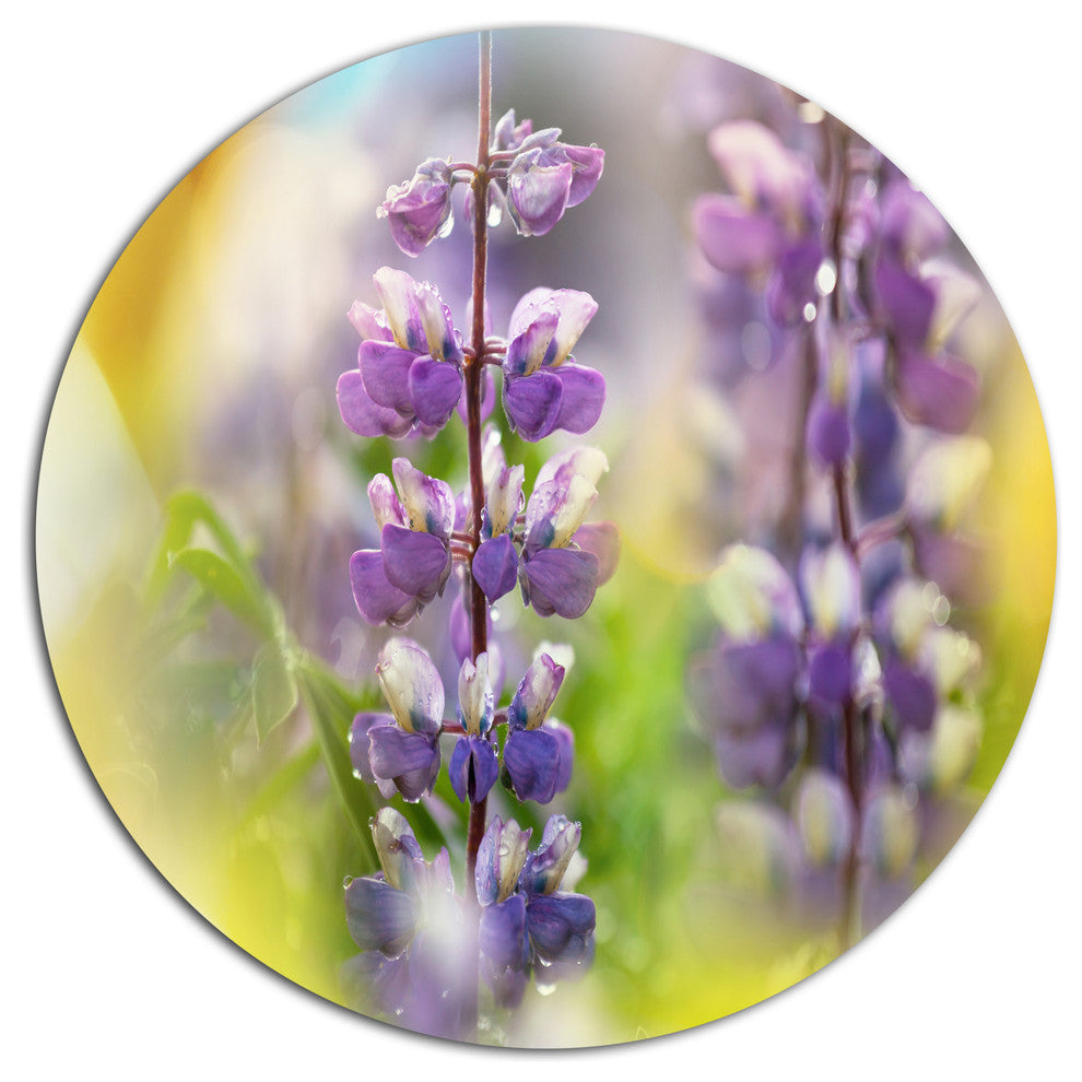 Beautiful Blue Lupin Flowers, Flower Round Metal Wall Art, 11"