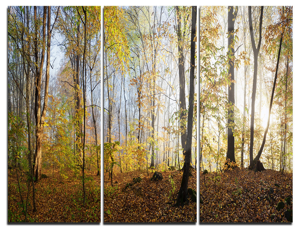 "Green Autumn Forest in Morning" Photo Metal Wall Art, 3 Panels, 36"x28"