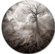 Lonely Tree Holding The Moon, Landscape Art Disc Metal Wall Art, 11"
