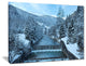 "Winter Mountain Stream" Landscape Canvas Photo Print, 20"x12"
