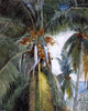 Winslow Homer Coconut Palms- Key West Wall Decal