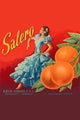 Salero - Canvas Poster 20" x 30"