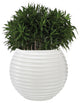 Dimond Lighting Jaya 19" Bamboo Tuft Planter, Gloss White Finish
