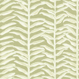 Painted Vine Peel and Stick Wallpaper, Green