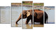 Elephant in Water in Sri Lanka, African Canvas Print, 60"x32", 5 Panels