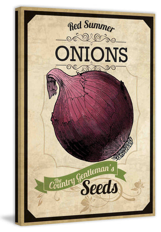 "Seed Packet Onion" Painting Print on Canvas