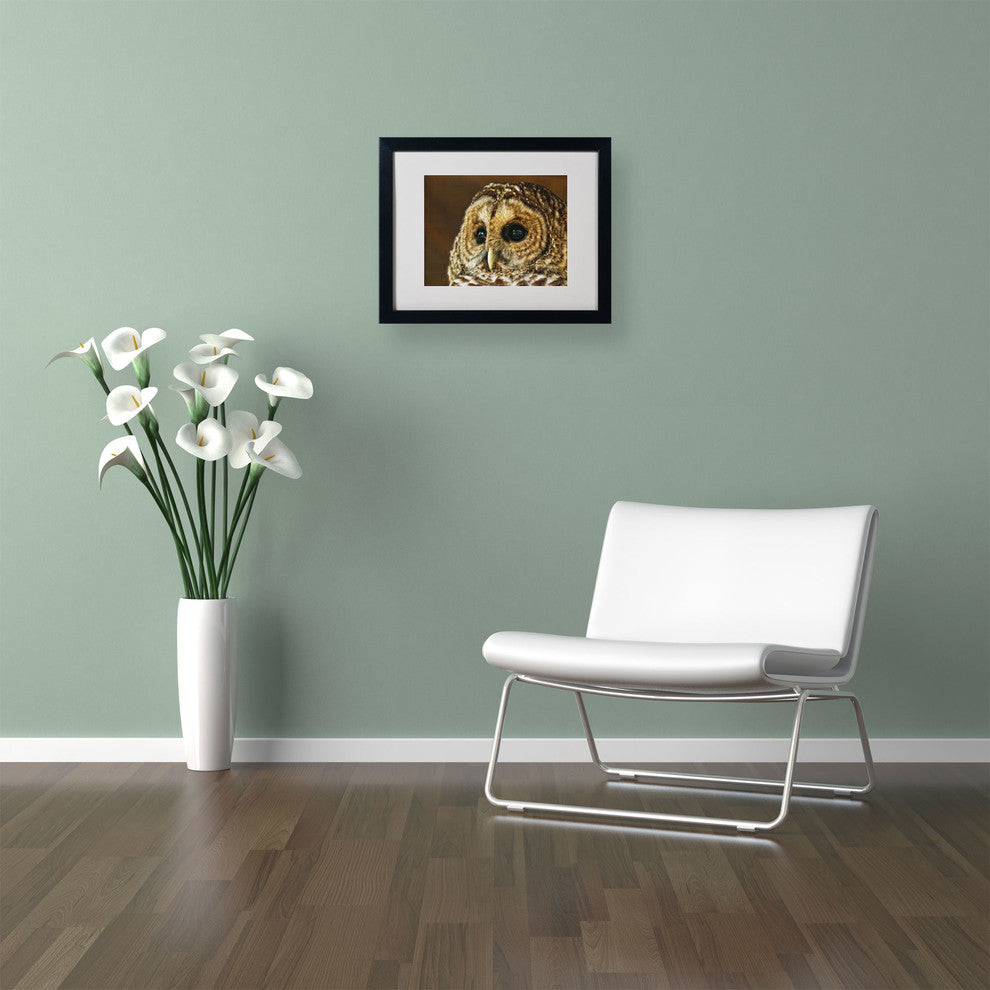 'Barred Owl Portrait' Matted Framed Canvas Art by Lois Bryan