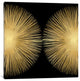 "Sunburst On Black II" by Abby Young, Canvas Print, 26"x26"