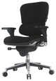 Modern Office Chair, Fully Padded Design With Lumbar Support, Great for Comfort