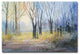 ''Misty Morning'' Canvas Art by Ryan Radke