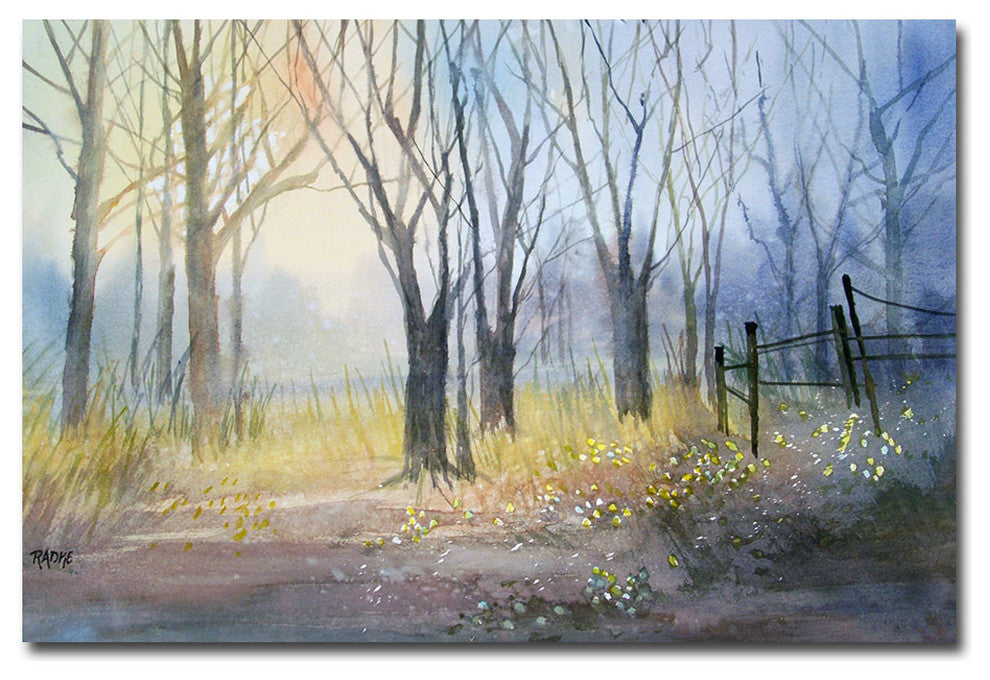 ''Misty Morning'' Canvas Art by Ryan Radke