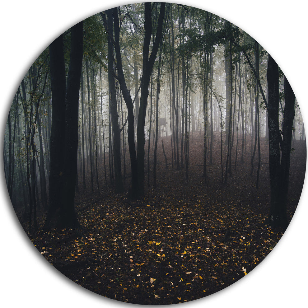 Dark Spooky Misty Wild Forest, Forest Round Wall Art, 11"