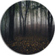 Dark Spooky Misty Wild Forest, Forest Round Wall Art, 11"