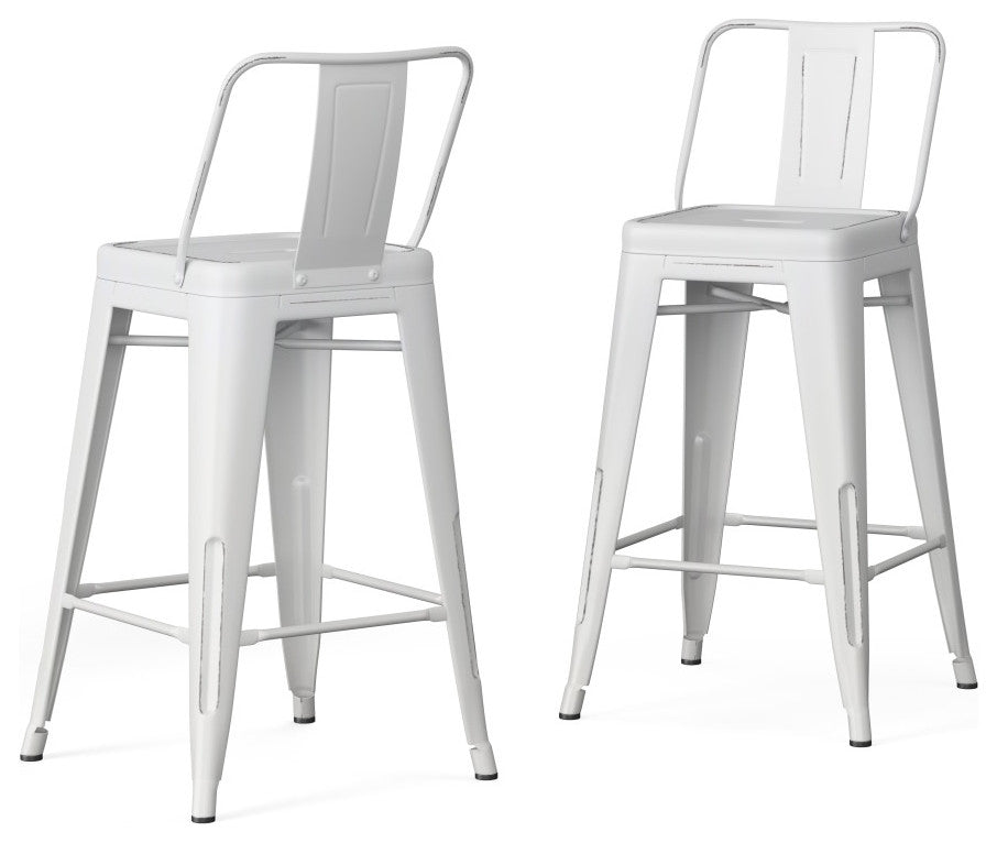 Rayne 24 inch Metal Counter Height Stool (Set of 2)