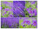 Blue Spring Flowers Collage, Floral Canvas Art Print, 40"x30"