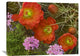 "Claret Cup Cactus And Verbena In Bloom, North America" Artwork