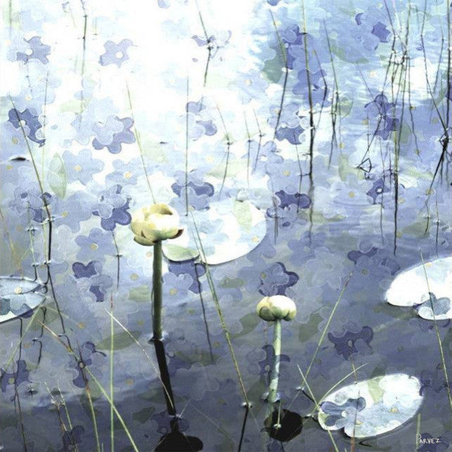 "Beauview" Fine Art Canvas Print, 48"x48"