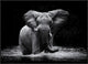 "Power 1" Framed Canvas Giclee by Gorazd Golob, 41x29"