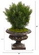 30" Cedar Artificial Tree, Iron Colored Urn, Indoor/Outdoor