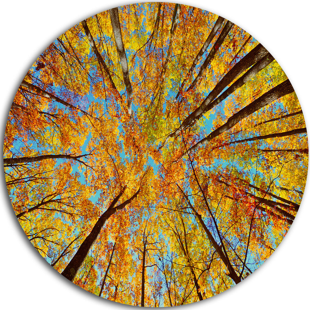 Tree Tops In Autumn Forest, Trees Photo Disc Metal Wall Art, 11"