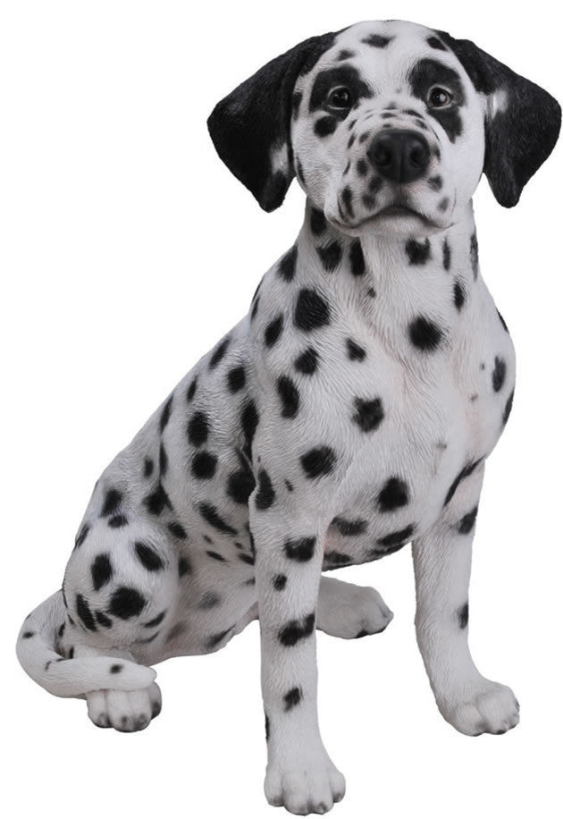 Realistic Dalmatian Dog Garden Statue, 20"
