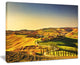 "Crete Senesi Rural Landscape Tuscany" Landscape Wall Art, 20"x12"