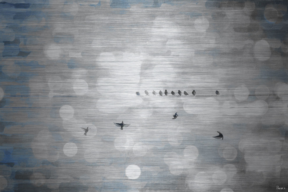 "Hanging Out" UV Ink Print on Brushed  Aluminum, 36"x24"