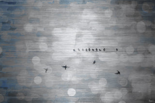 "Hanging Out" UV Ink Print on Brushed  Aluminum, 36"x24"